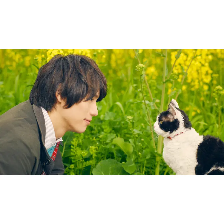 NGi-A-00181-02.webp