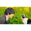 NGi-A-00181-02.webp