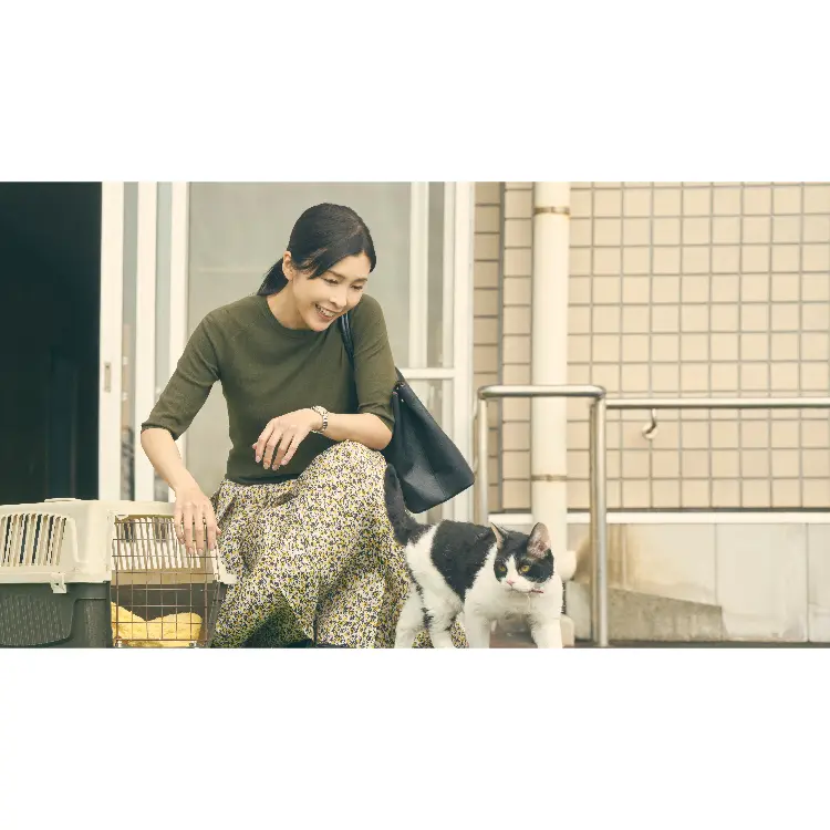 NGi-A-00181-03.webp