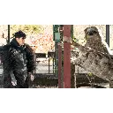 NGi-A-00217-03.webp