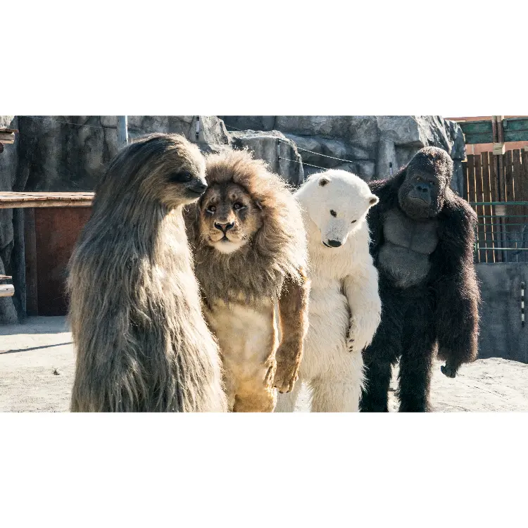 NGi-A-00217-04.webp