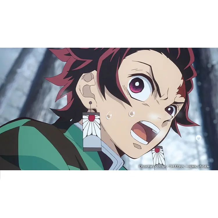 NGi-A-00257-04.webp