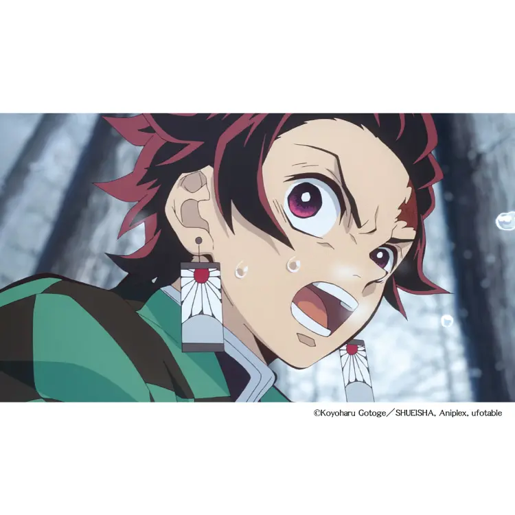 NGi-A-00261-02.webp