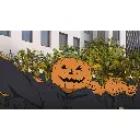 NGi-A-00294-04.webp