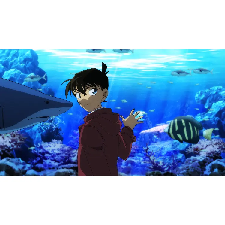 NGi-A-00146-04.webp