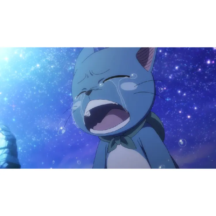 NGi-A-00154-04.webp